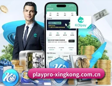 星空官网入口 APP 深度功能